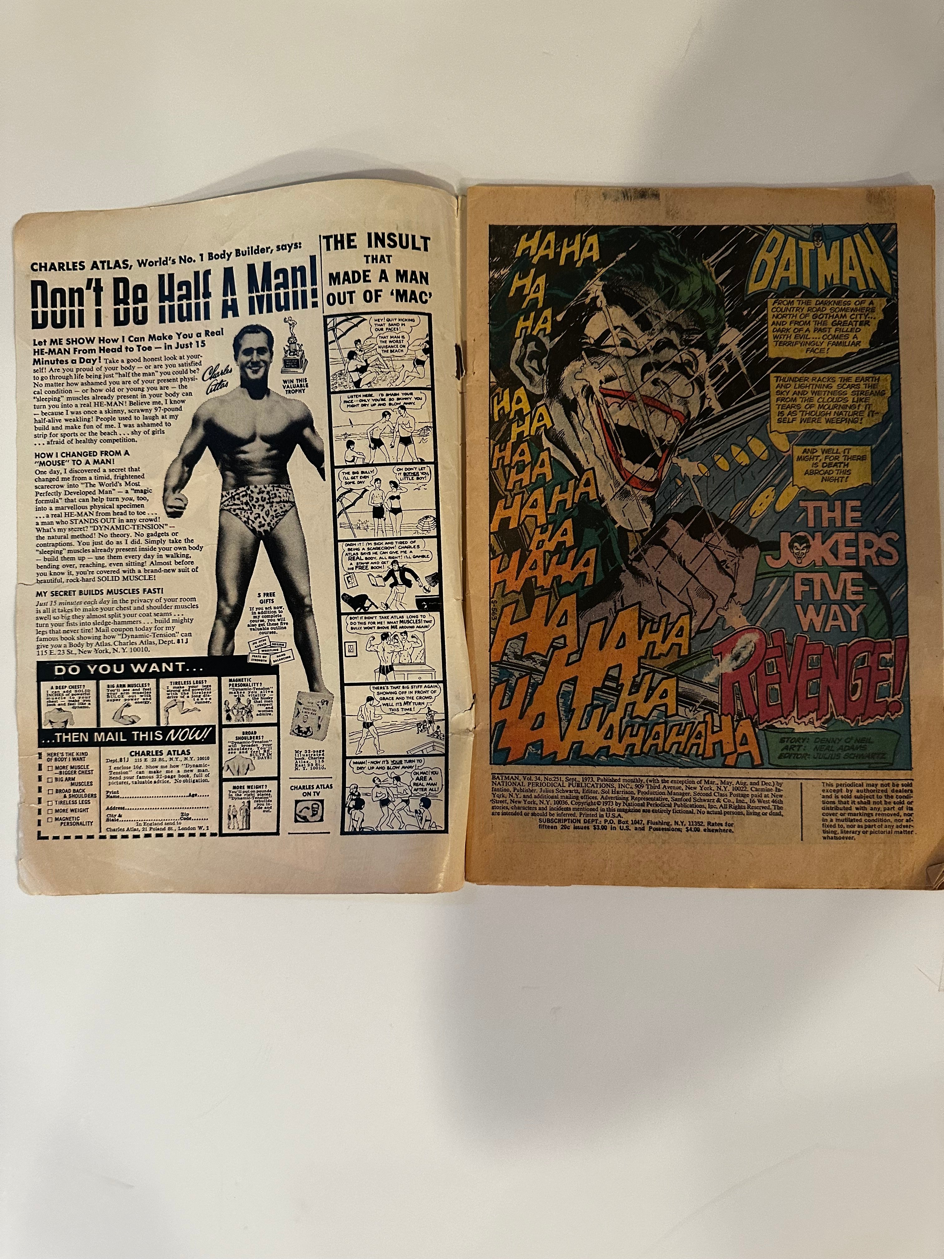 1973 batman store no.251